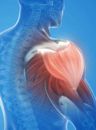 untitled design 2025 11 22t131012.878